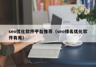seo优化软件平台推荐（seo排名优化软件有用）